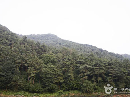 Ngắm nhìn Núi Geumseong hùng vĩ