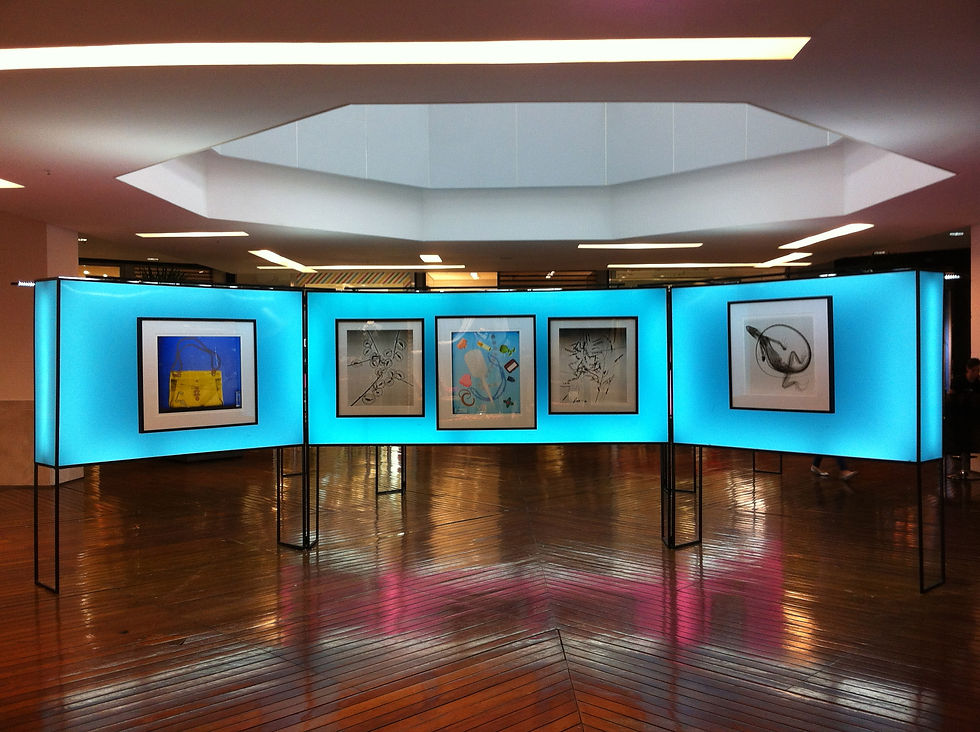 steve miller art rio RJ 2013