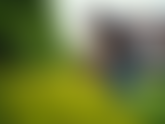 Local Home Upkeep Services: What to Expect