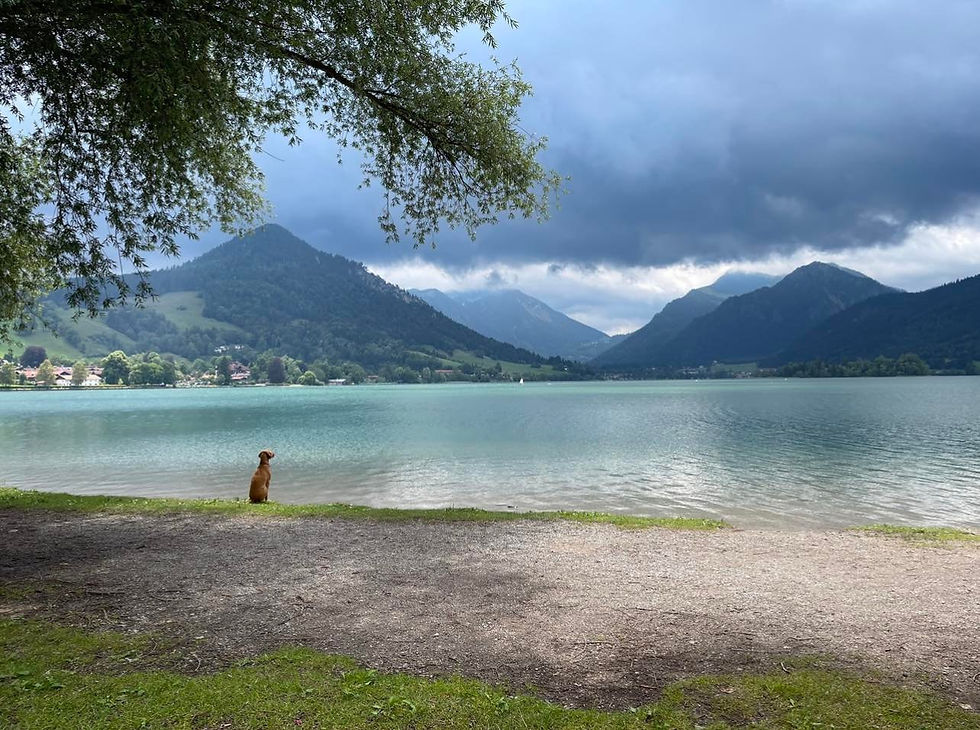 Schliersee Lake in Bavaria, Germany