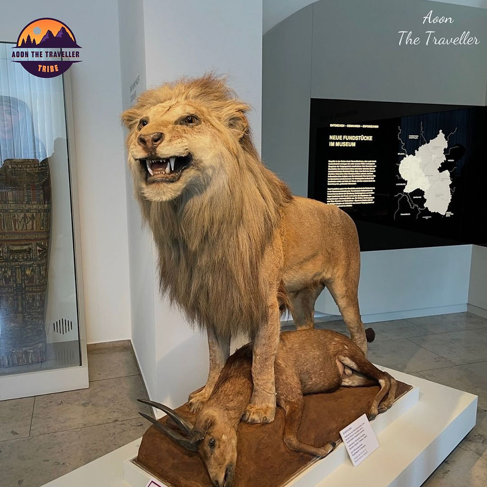 Rheinisches Landesmuseum