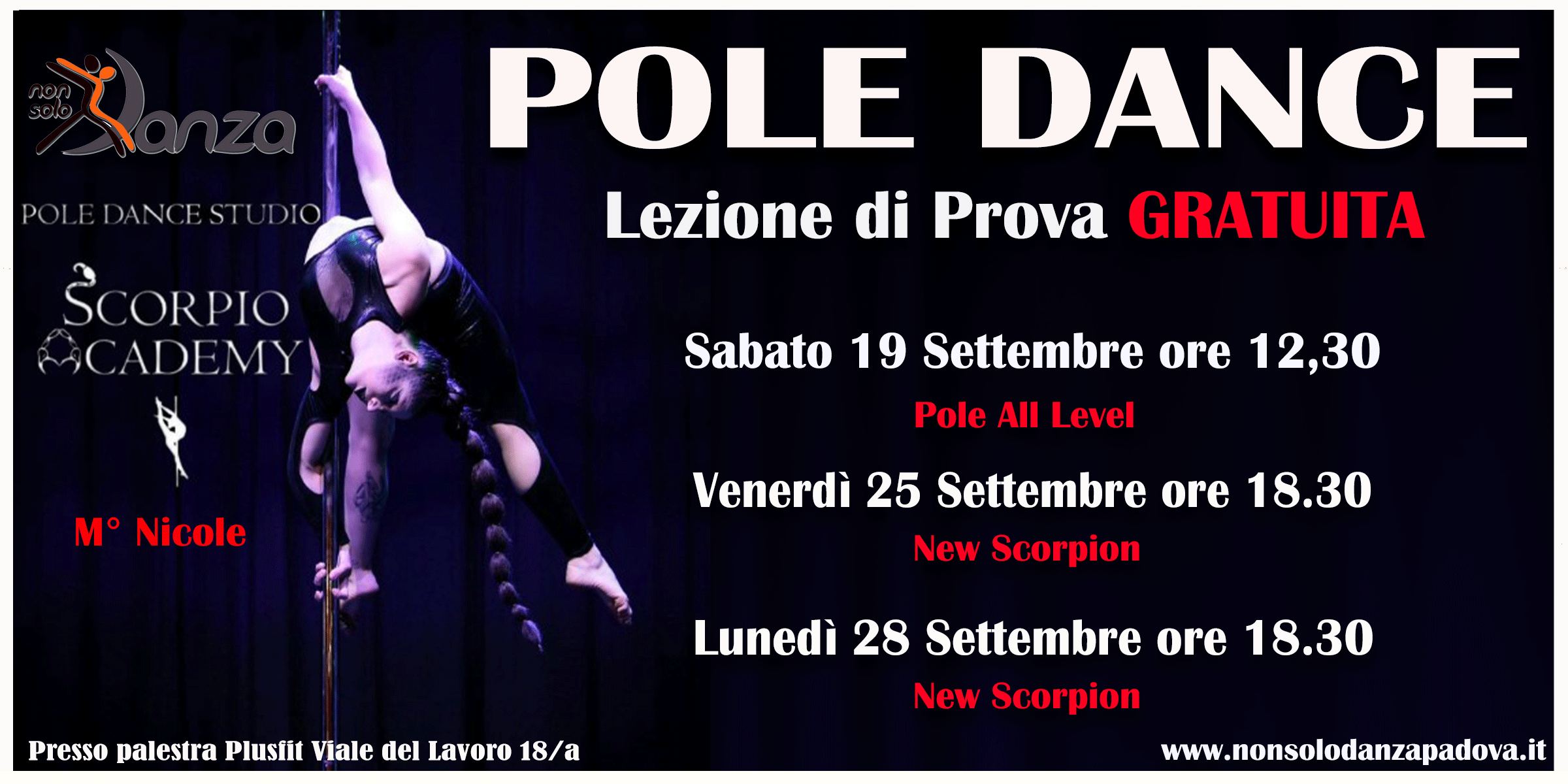NICOL POLE-DANCE-2026---2027-WEB.gif