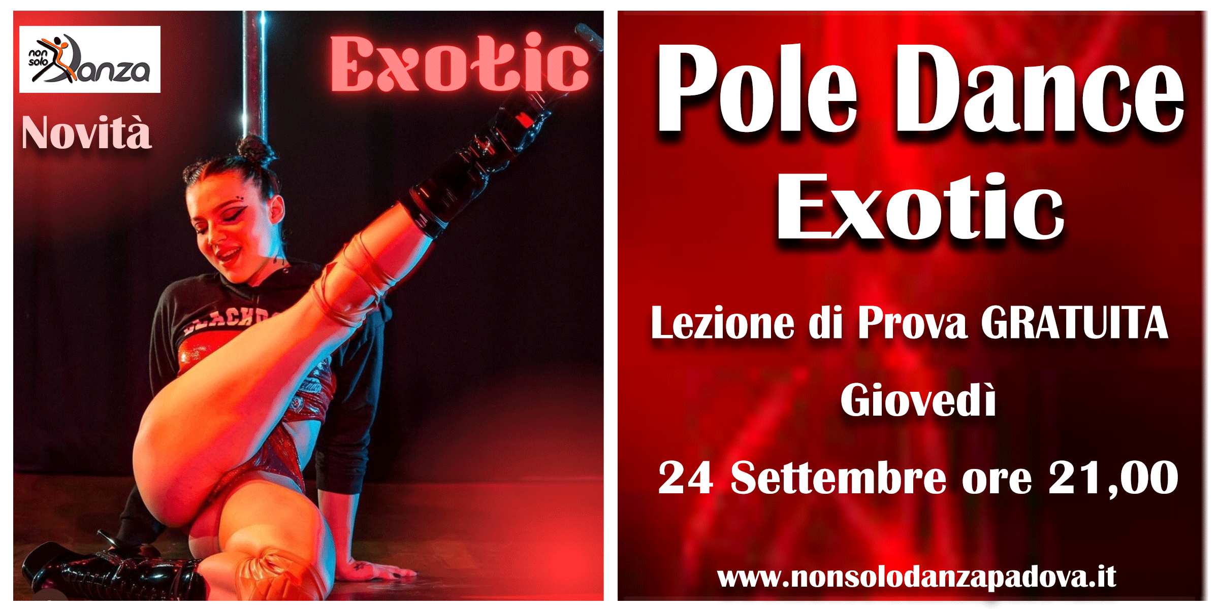 NICOL-POLE-EXOTIC--2026---2027..gif