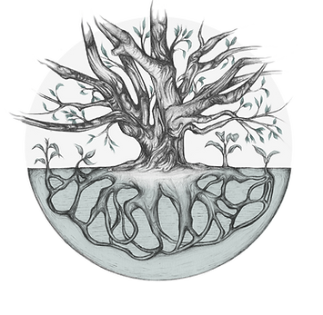 Tree of Life.png