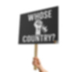 Thumbnail: "Whose Country?" 18"x 24" Protest Sign 
