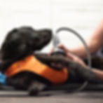 20201013-DSC_2718 copy.jpg