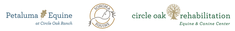 PE, SE, COR Logos Horz 2021.png