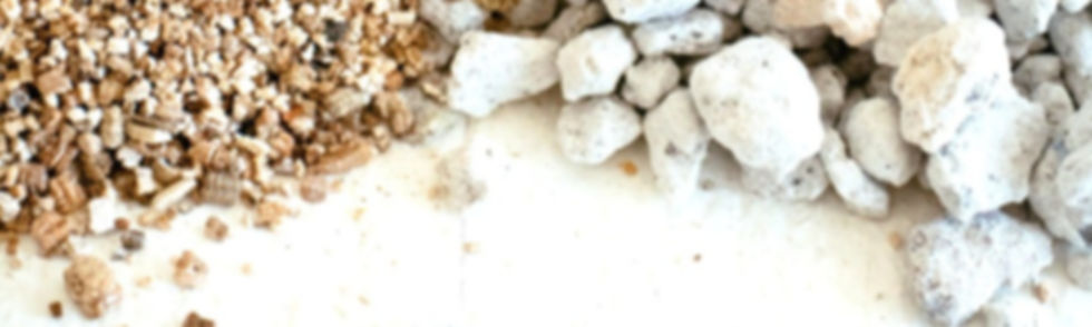 perlite-vs-vermiculite-01_edited_edited.jpg