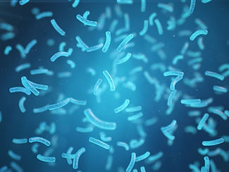 bacteria1.jpg