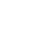 Flower Walls NWA rose logo