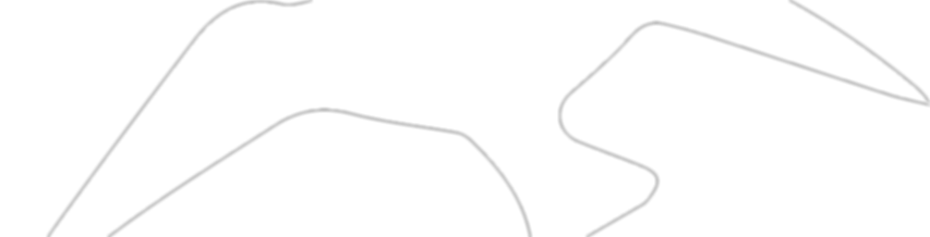 DFSCOUNSELLING-WHITEBIRDLOGO-HORIZONTAL.