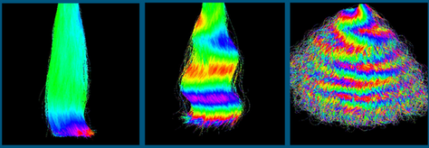 Hair sample images from a RUMBA instrument for hair claims testing