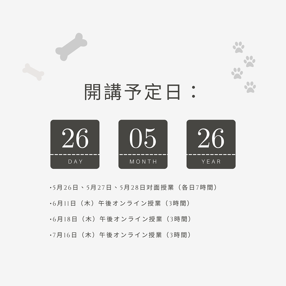 授業のハイライト (8).png