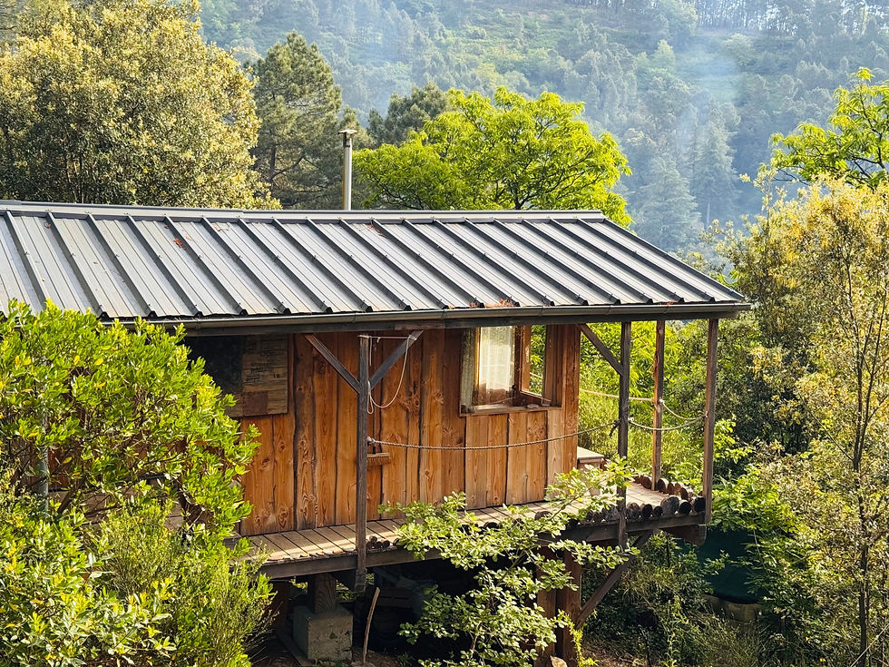 Cabane 3_edited