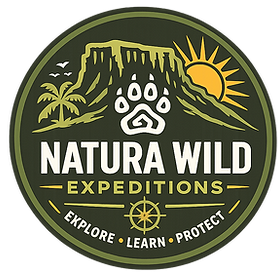 Logo (2).png
