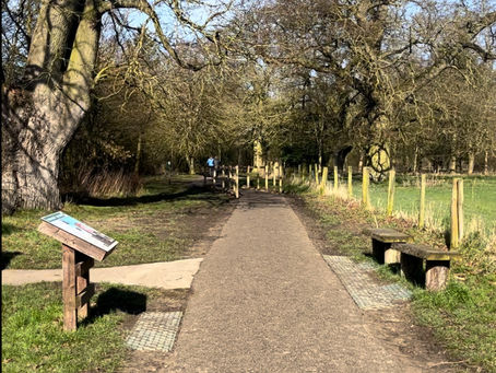 Discovering Thornham Walks: An accessible and family - friendly walk