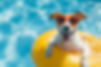 AdobeStock_720494992.jpeg
