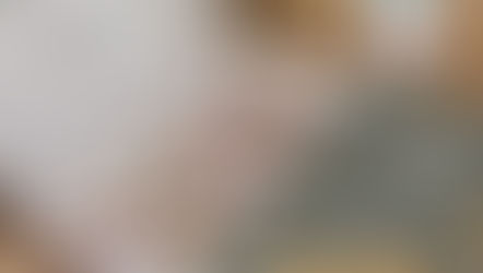 CALENDARIO DELL'AVVENTO PER PIGRI