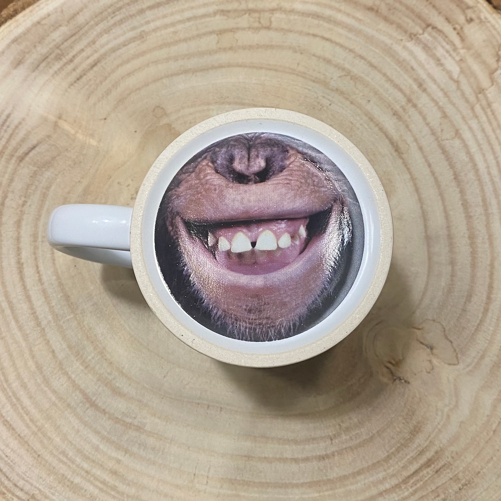 Miniatura: TAZZA ANIMALI
