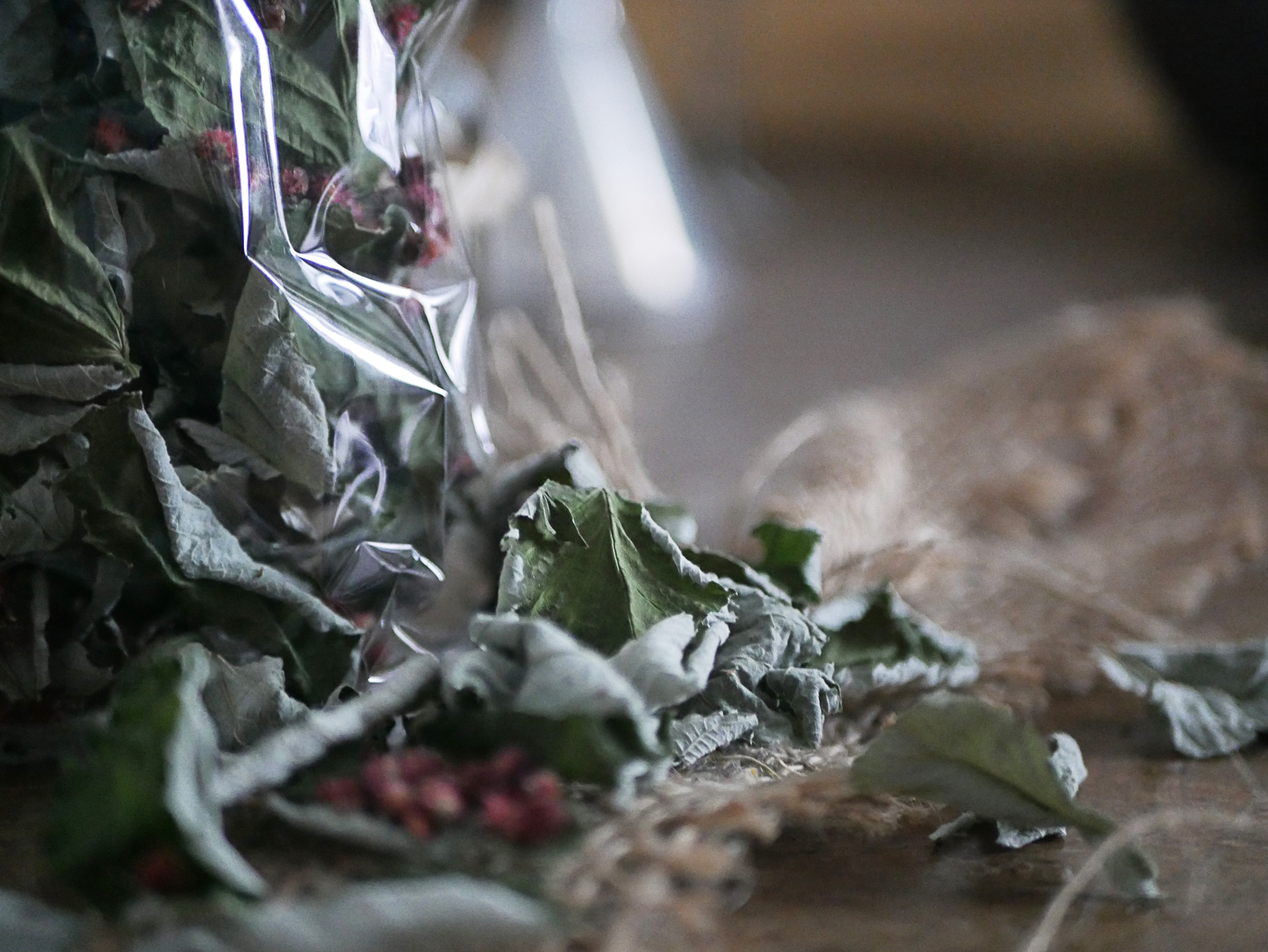 Framboisier & Sumac