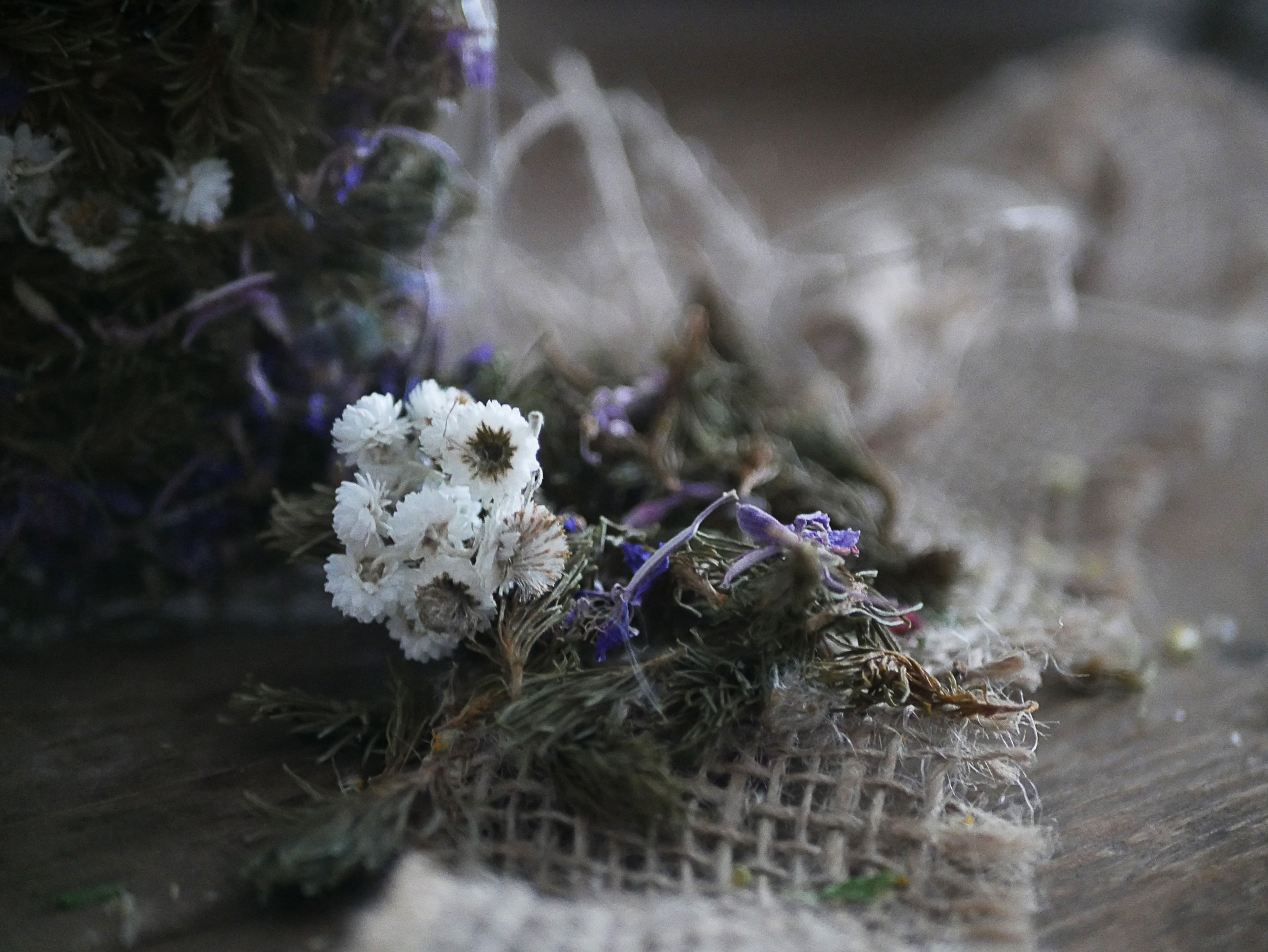 Pousses de sapin, Épilobe & Immortelle