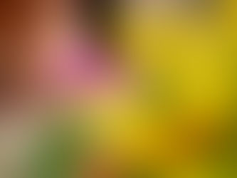 思いやり、共感