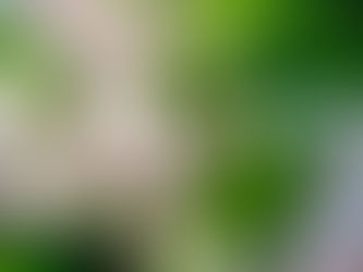 二番花