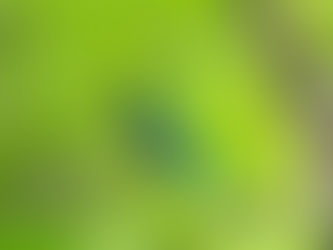 私の好きな横顔