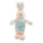 Cute Bunny