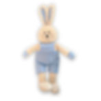 Cute Bunny