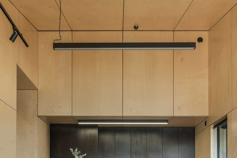 Birch-Prem-Kitchen-retouched.jpg
