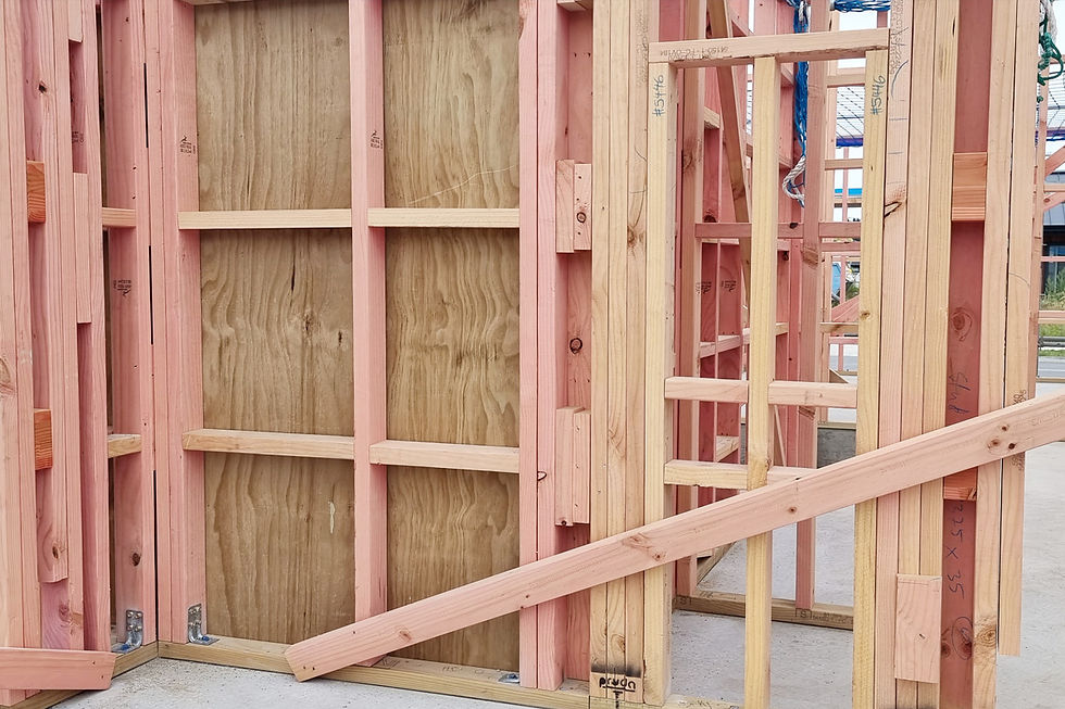 StructuralPly-2.jpg