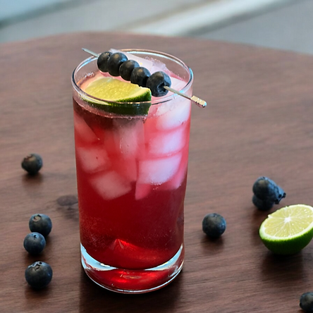 Blueberry Gin and Tonic