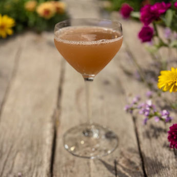 Scofflaw