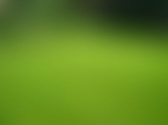 Things You Should Know About Lawn Mowing