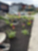 IMG_1793.jpeg