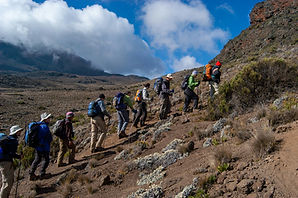 A quiet, gradual Kilimanjaro ascent from the northern side. Ideal for trekkers seeking fewer crowds and a smoother climb.