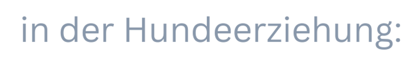 Website bzw.hund (43).png