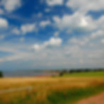Prince Edward Island Landscape .jpg