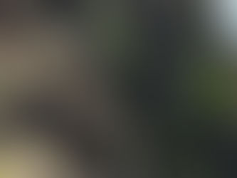 Heimaey Wanderung Nr. 2