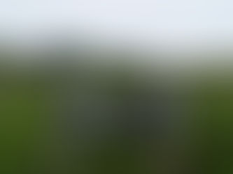 Heimaey, zweiter Tag und letzter Tag