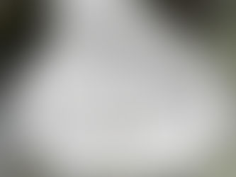 Auf Wiedersehen Norwegen