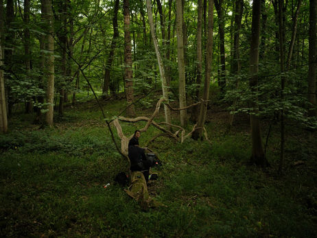 Seeing the Trees for the Forest: Wytham Woods Completes its Fifth Tree Census