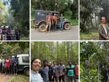 Studying Nutrient Flows Across Tropical Forests and Savannas: A Collaborative Project