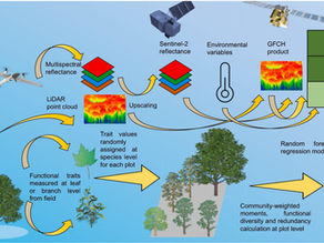 Mapping forest resilience hotspots in South America