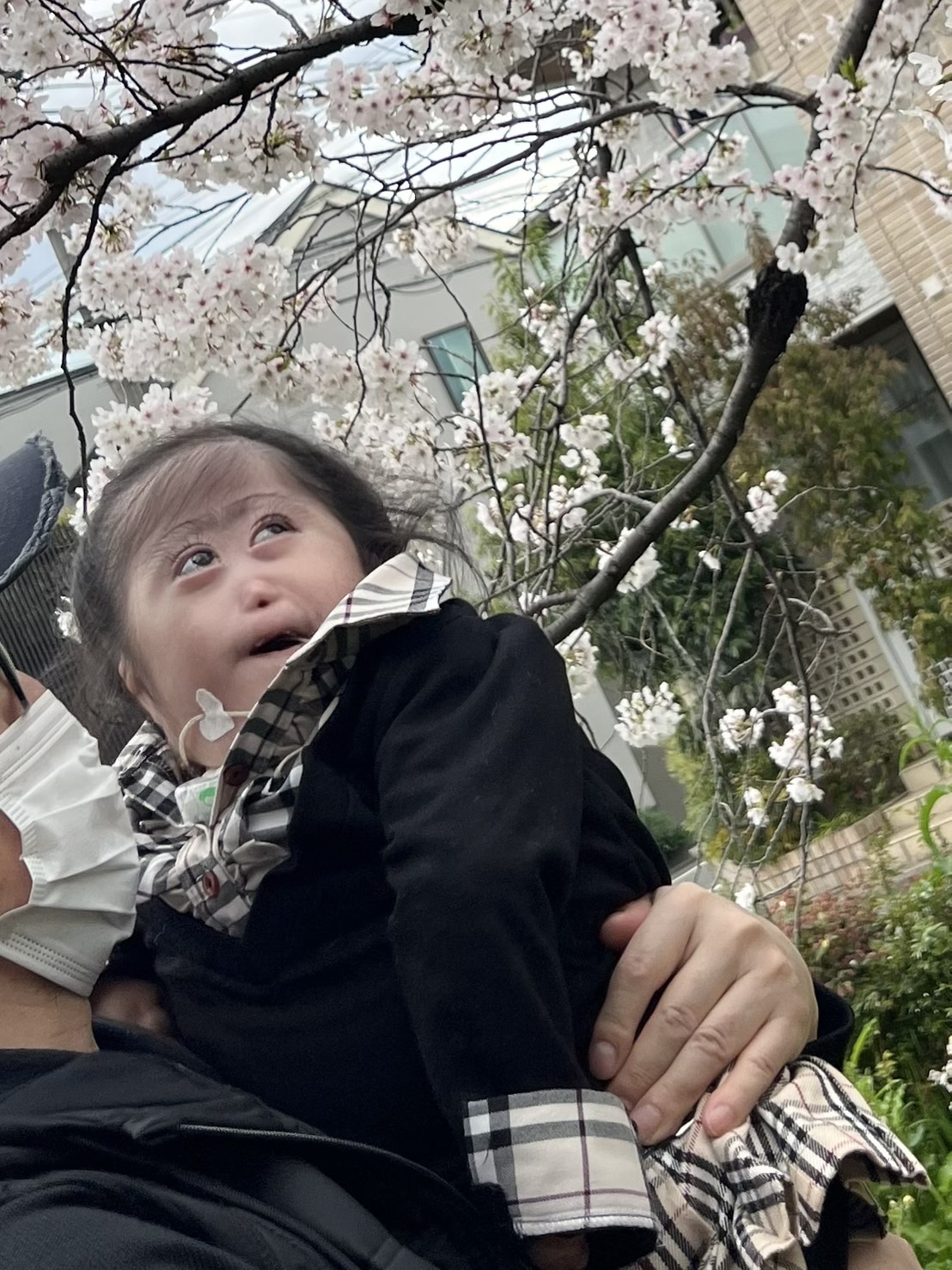 桜の下で、外の時間を楽しむ子ども