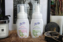 DSC03230-01.jpeg