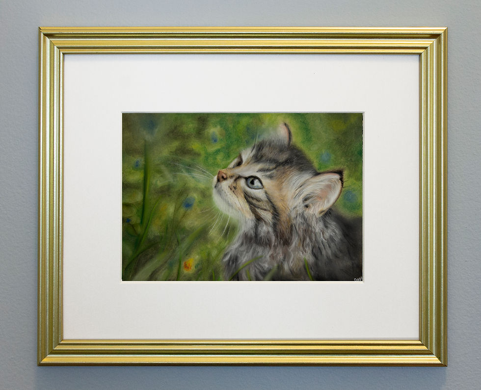 Thumbnail: Curious Kitten