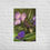 Thumbnail: Virginia Spiderwort enhanced matte poster print