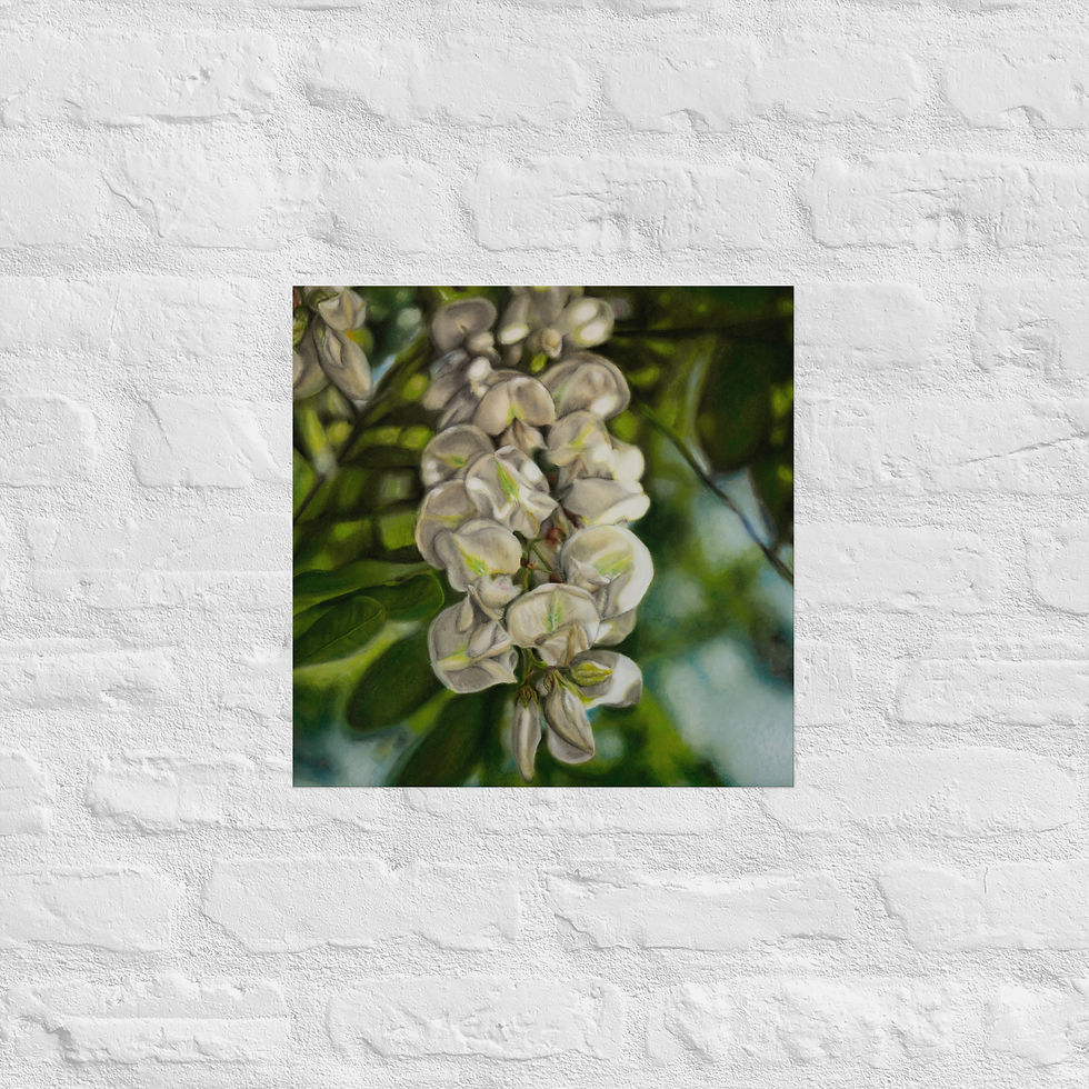 Thumbnail: Black Locust Flower enhanced matte poster print